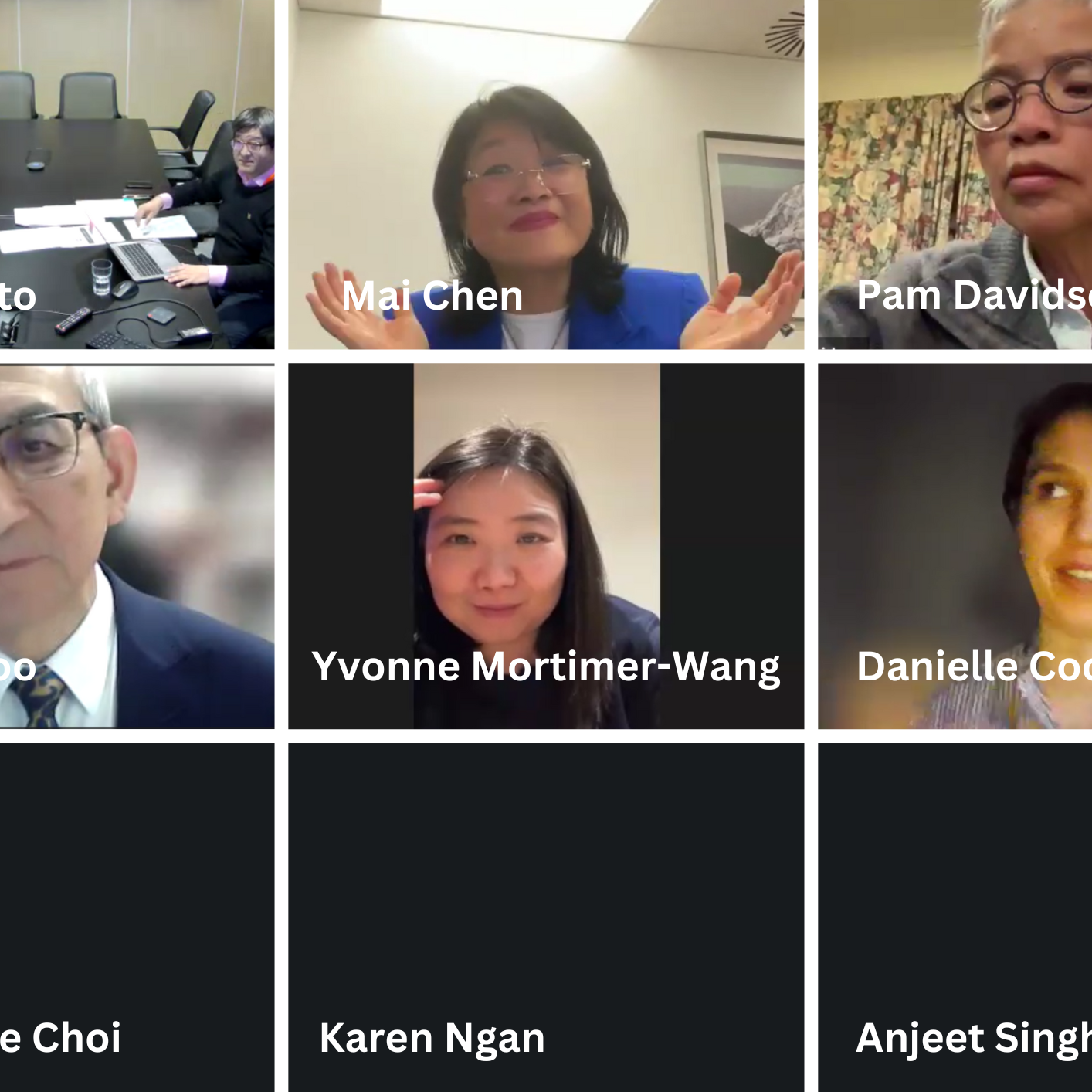 Zoom meeting – AGM 2024 NZAL – 1